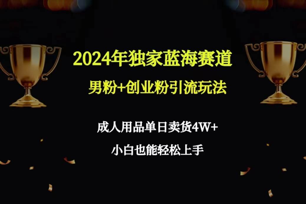 2024年独家蓝海赛道男粉+创业粉引流玩法，成人用品单日卖货4W+保姆教程时点搞钱-网创项目资源站-副业项目-创业项目-搞钱项目时点搞钱