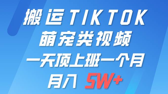 一键搬运TIKTOK萌宠类视频 一部手机即可操作 所有平台均可发布 轻松月入5W+时点搞钱-网创项目资源站-副业项目-创业项目-搞钱项目时点搞钱