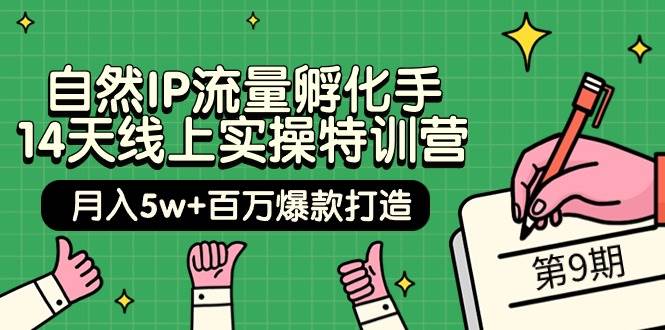 自然IP流量孵化手 14天线上实操特训营【第9期】月入5w+百万爆款打造 (74节)时点搞钱-网创项目资源站-副业项目-创业项目-搞钱项目时点搞钱