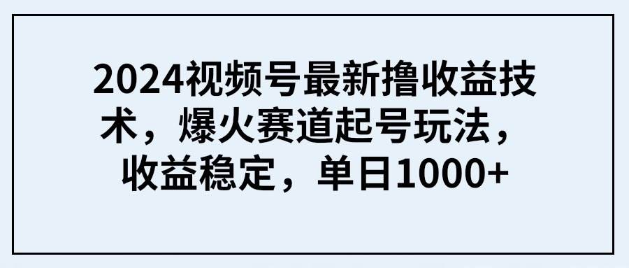2024视频号最新撸收益技术，爆火赛道起号玩法，收益稳定，单日1000+时点搞钱-网创项目资源站-副业项目-创业项目-搞钱项目时点搞钱
