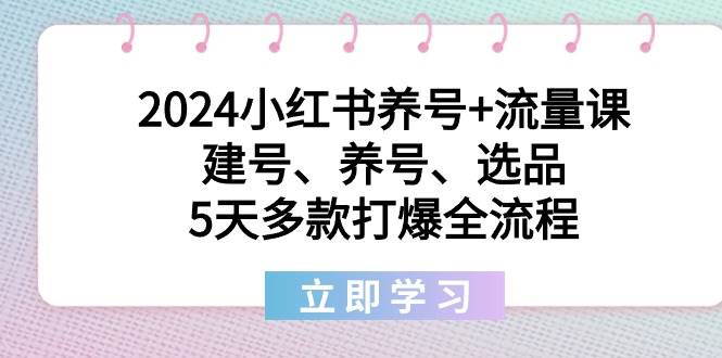 2024小红书养号+流量课：建号、养号、选品，5天多款打爆全流程时点搞钱-网创项目资源站-副业项目-创业项目-搞钱项目时点搞钱