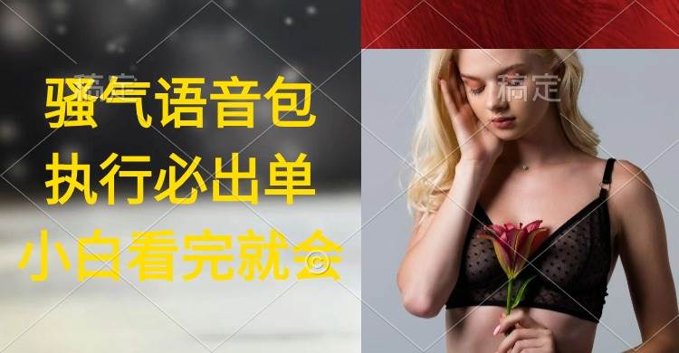 执行就出单，日入2000+，超火骚气语音包，小白看完课程就能马上实操时点搞钱-网创项目资源站-副业项目-创业项目-搞钱项目时点搞钱