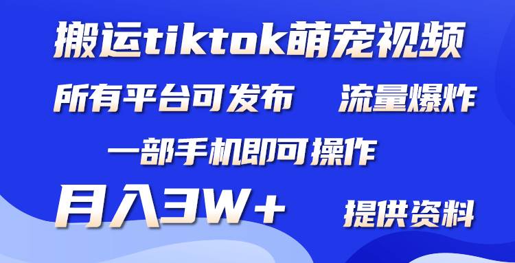 搬运Tiktok萌宠类视频，一部手机即可。所有短视频平台均可操作，月入3W+时点搞钱-网创项目资源站-副业项目-创业项目-搞钱项目时点搞钱