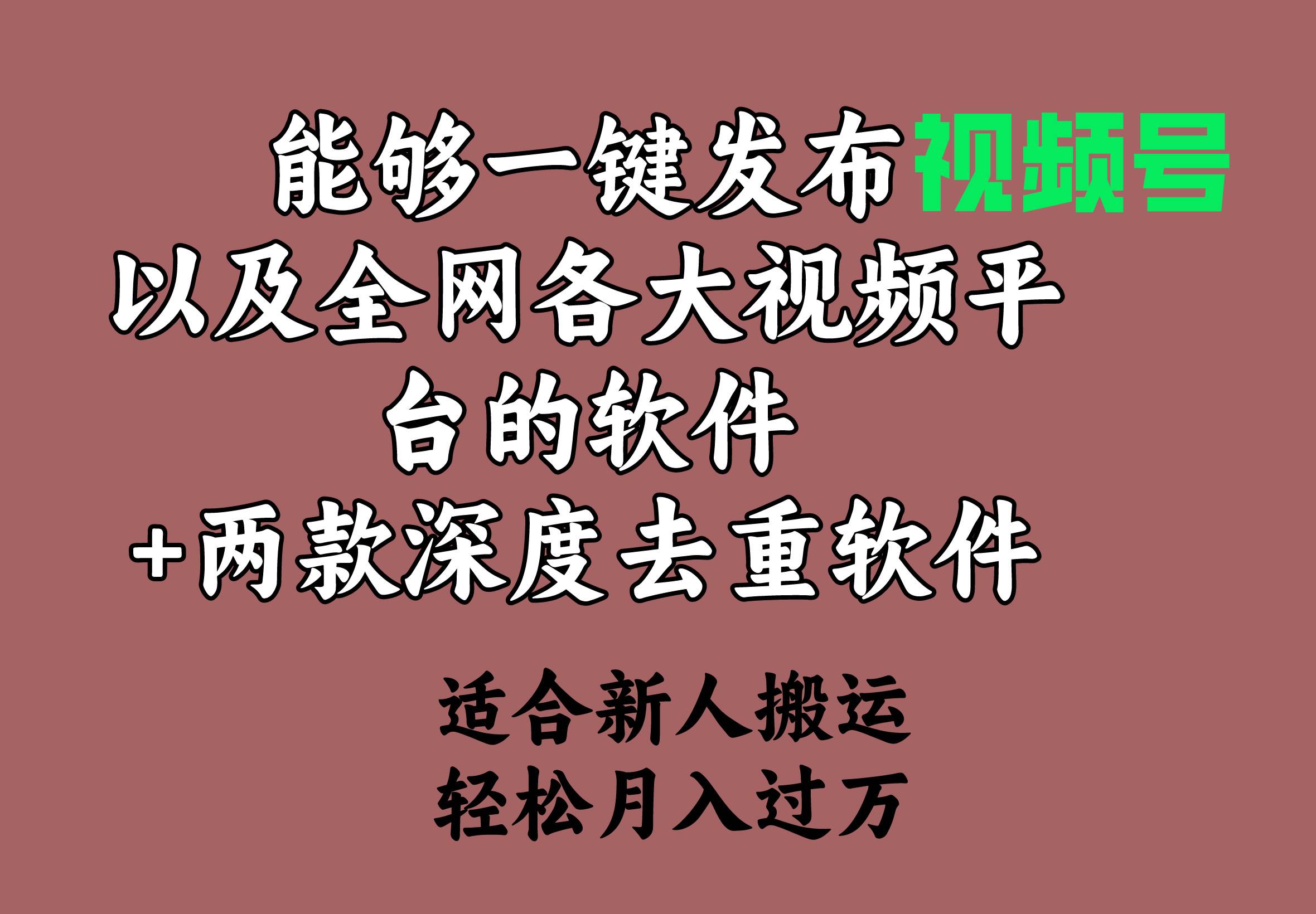 能够一键发布视频号以及全网各大视频平台的软件+两款深度去重软件 适合…时点搞钱-网创项目资源站-副业项目-创业项目-搞钱项目时点搞钱