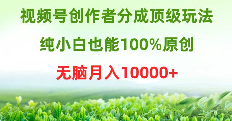 视频号创作者分成顶级玩法，纯小白也能100%原创，无脑月入10000+时点搞钱-网创项目资源站-副业项目-创业项目-搞钱项目时点搞钱