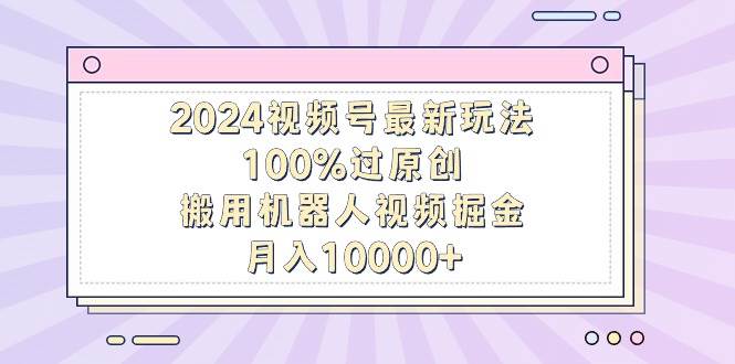 2024视频号最新玩法，100%过原创，搬用机器人视频掘金，月入10000+时点搞钱-网创项目资源站-副业项目-创业项目-搞钱项目时点搞钱