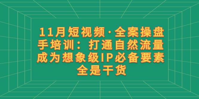 11月短视频·全案操盘手培训：打通自然流量 成为想象级IP必备要素 全是干货时点搞钱-网创项目资源站-副业项目-创业项目-搞钱项目时点搞钱