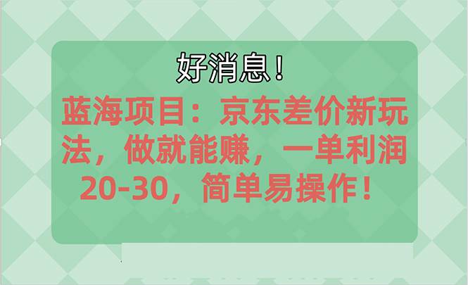 越早知道越能赚到钱的蓝海项目：京东大平台操作，一单利润20-30，简单…时点搞钱-网创项目资源站-副业项目-创业项目-搞钱项目时点搞钱