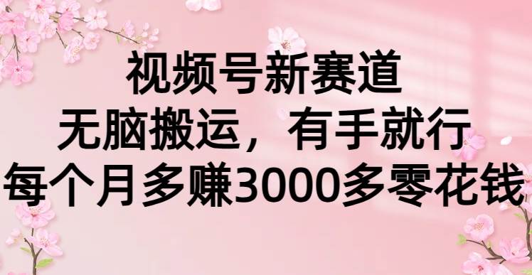视频号新赛道,无脑搬运,有手就行,每个月多赚3000多零花钱时点搞钱-网创项目资源站-副业项目-创业项目-搞钱项目时点搞钱