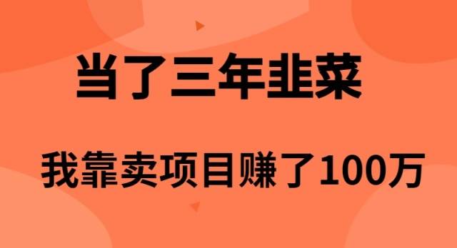 当了3年韭菜，我靠卖项目赚了100万时点搞钱-网创项目资源站-副业项目-创业项目-搞钱项目时点搞钱
